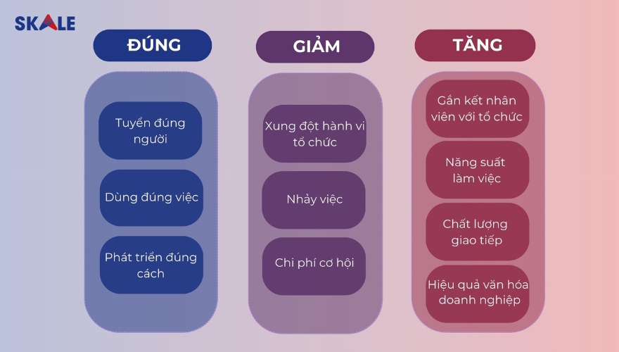 Giá trị nổi bật các gói đánh giá năng lực của SKALE