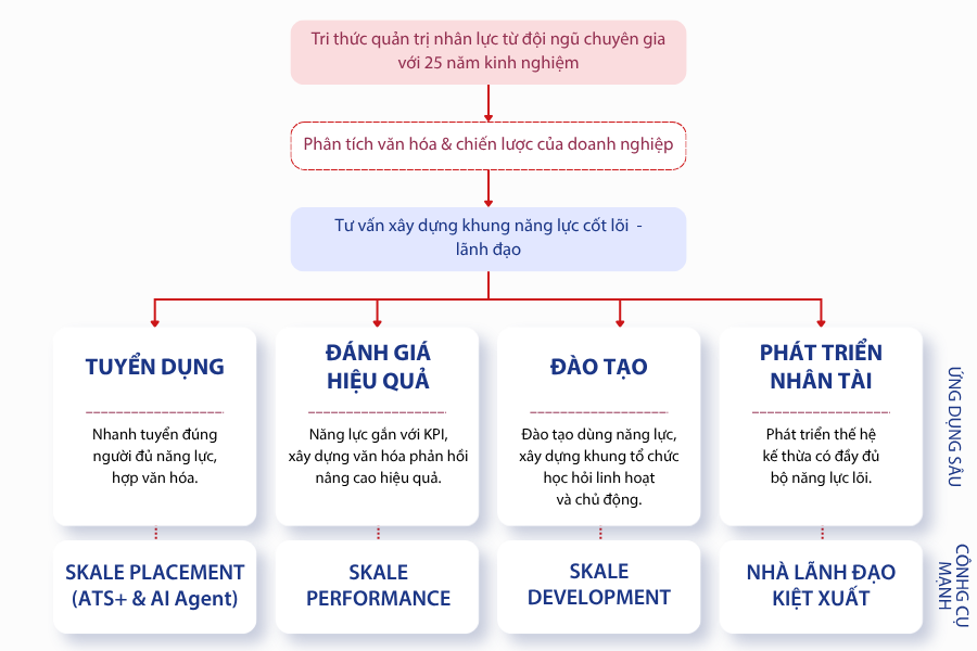 Quy trình & mô hình triển khai tư vấn xây dựng hệ thống quản trị năng lực